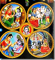 Krishna activities