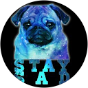 Galaxy Pug Moons profile picture