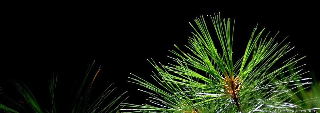 [DSC_6841%255B4%255D.jpg]