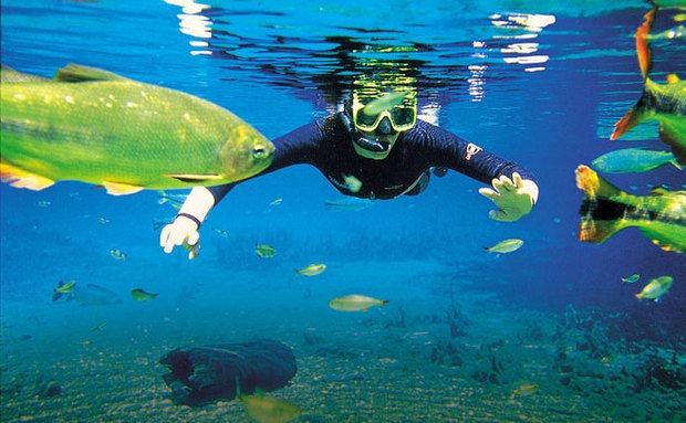 [ms33%255B5%255D.jpg]