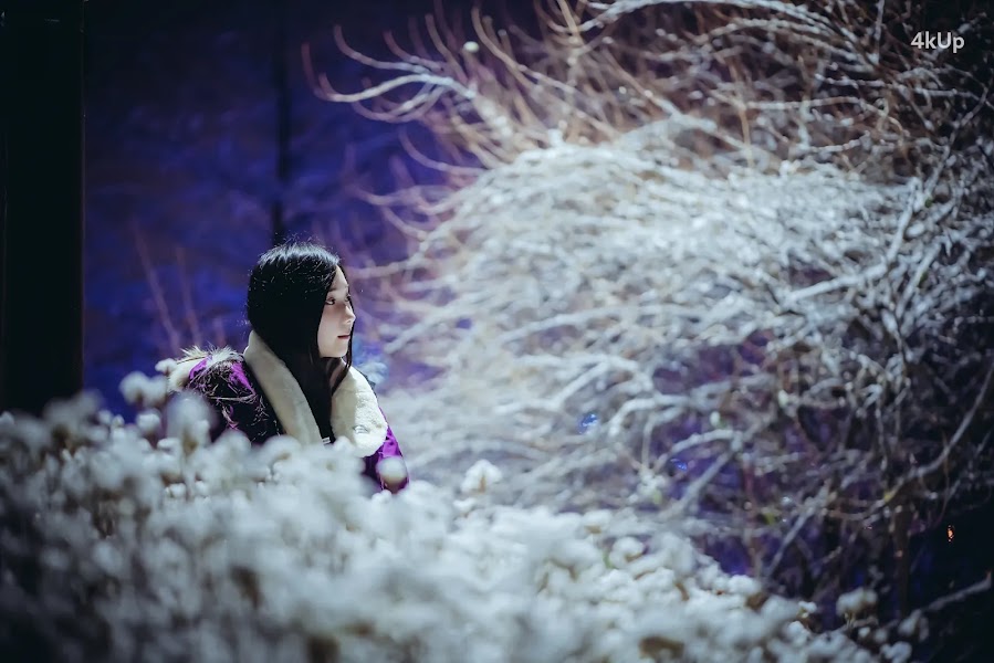 Bambi (밤비) Lacerta Photography