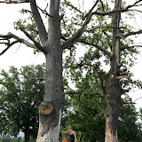 Scuze. VOI cine sunteti?