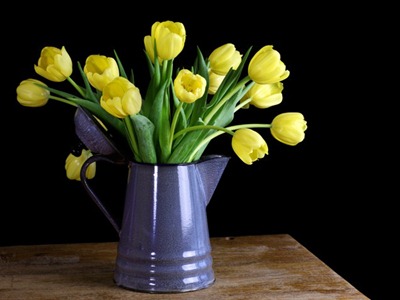 [tulips-vase%255B3%255D.jpg]