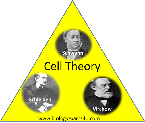 cell theory proponents