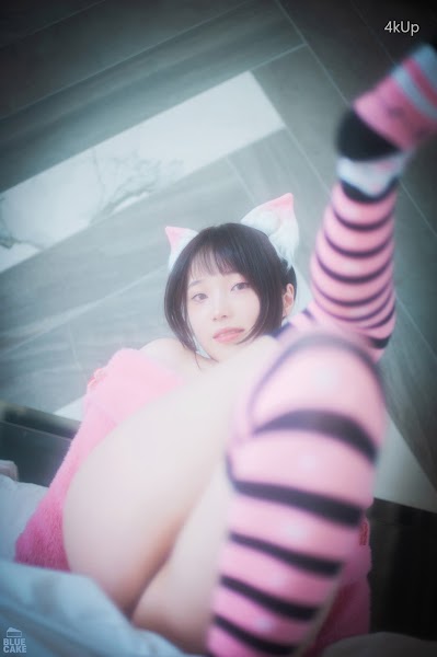 [BLUECAKE] Bambi (밤비) Naughty Cats Pink & Mint RED