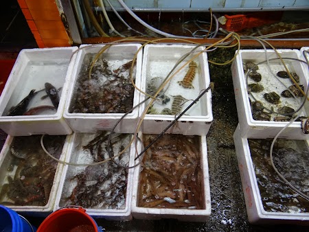 08. Sea food in HK.JPG