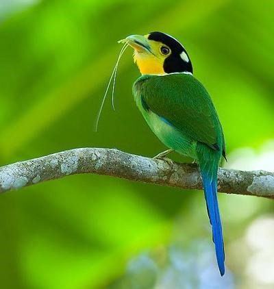 [interesting_201209251339120%25282%2529%255B3%255D.jpg]