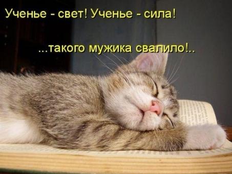 [4360247_kotomatrix1170%255B4%255D.jpg]