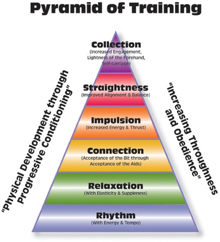 dressage-training-pyramid