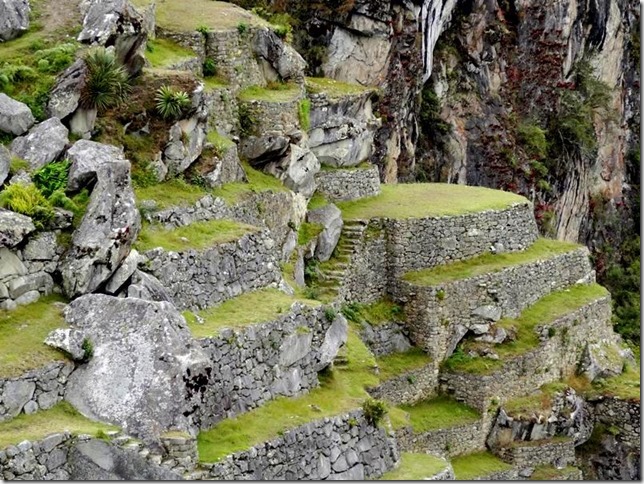 Machu_Picchu_DSC02219