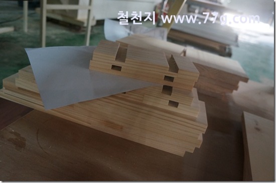 77gDSC08202-20130313-141519