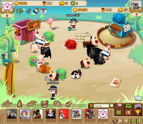 3_Heo dac biet co 1_0_2_.jpg