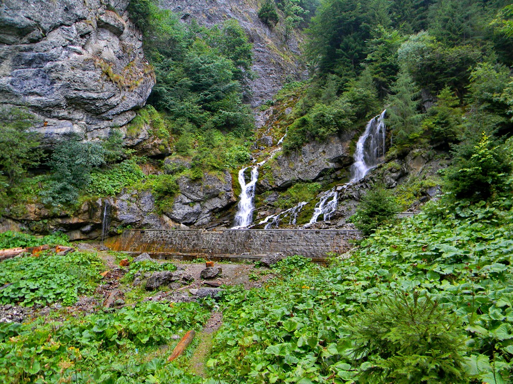 [DSCN42493.jpg]