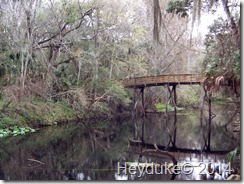 Hillsborough River State Park 006