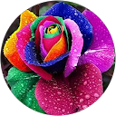 Asun Belmonte profile picture