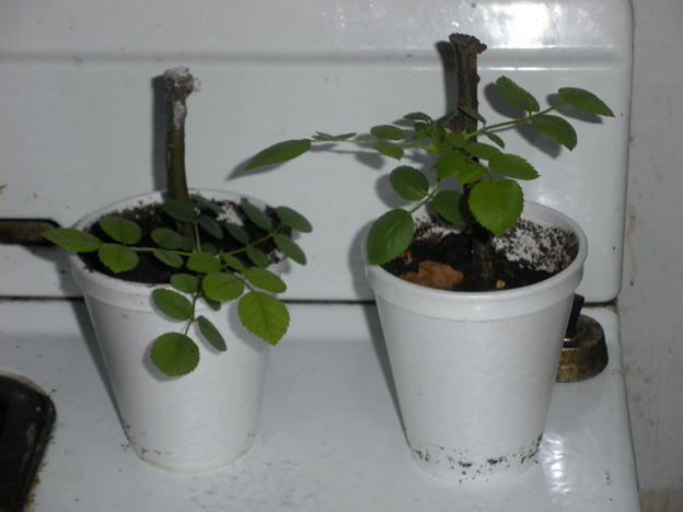 [image%255B3%255D.png]