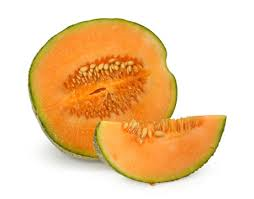 [cantalolupe4.png]