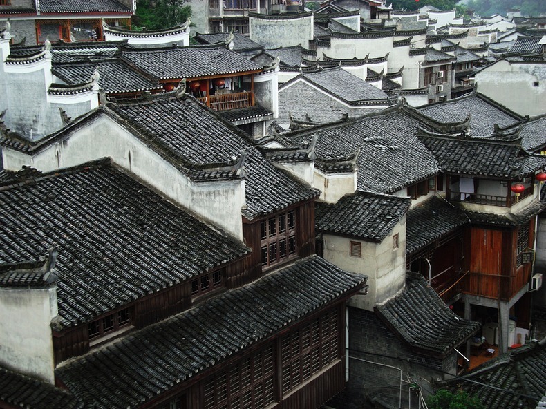 fenghuang-7