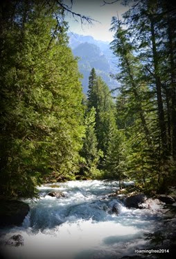 Avalanche Creek