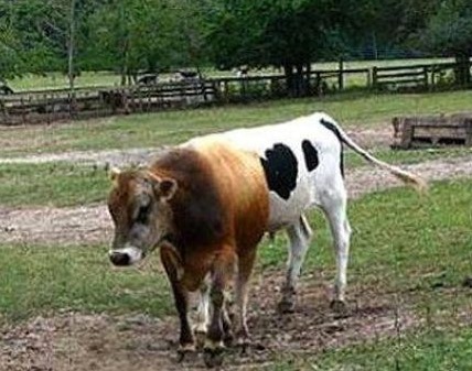 [clip_image005%255B5%255D.jpg]