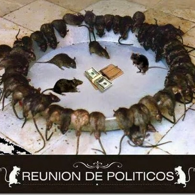 Cumbre de políticos 2014, humor fotos de ratas