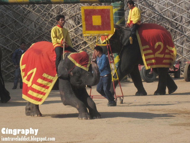 [Pattaya%2520%25281%2529%255B2%255D.jpg.webp]