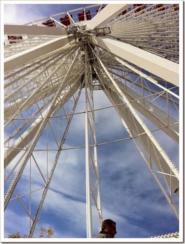 Ferris-wheel-free-pictures-1 (2039)