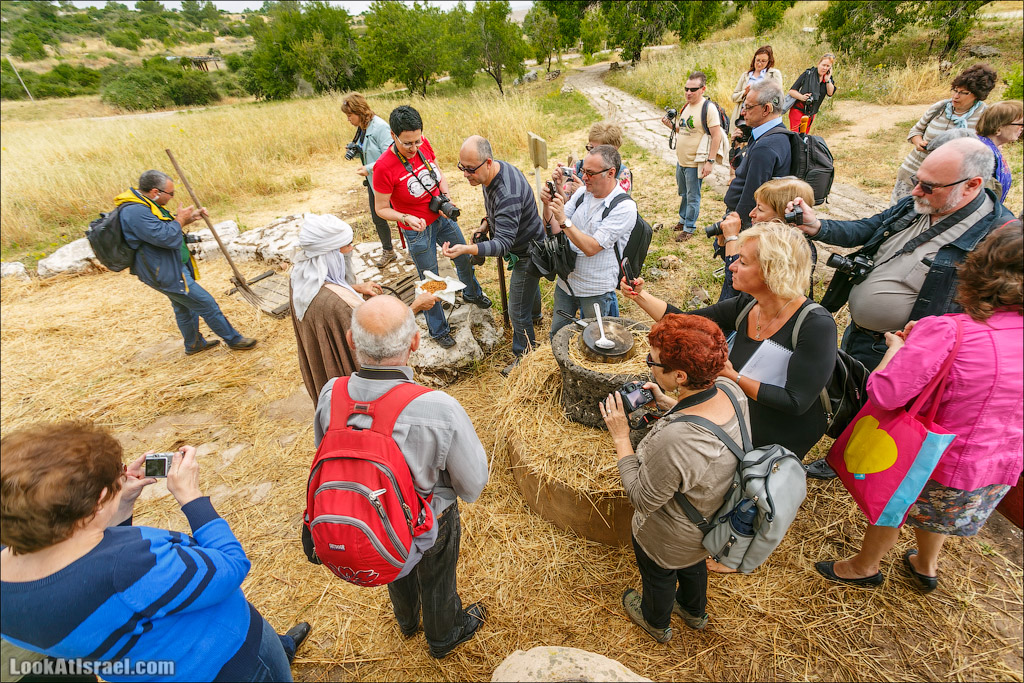 Неот Кдумим - Заповедник библейской природы | נאות קדומים