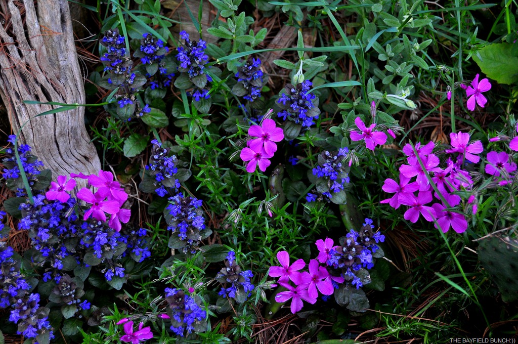 [DSC_0002%255B14%255D.jpg]