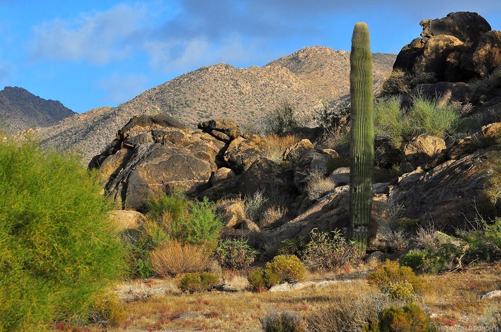 [DSC_0005%255B4%255D.jpg]