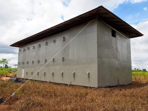 Bird Nest Business Lies in Bird House 