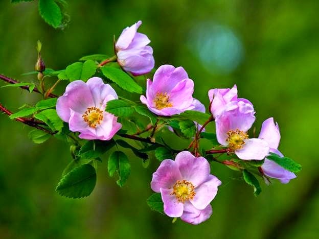 [clip_image004%255B4%255D.jpg]