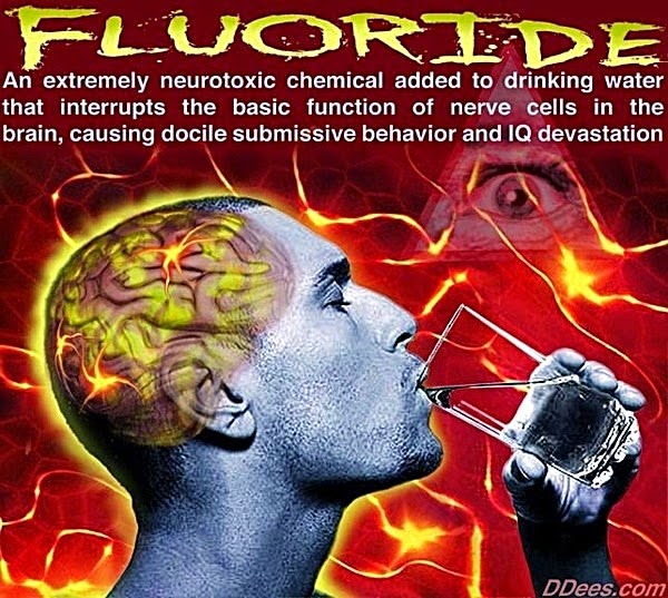 [Fluoride%2520neurotoxic%2520poinon%2520to%2520brain%255B3%255D.jpg]