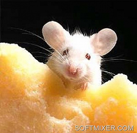 [news_1_12658%255B8%255D.jpg]