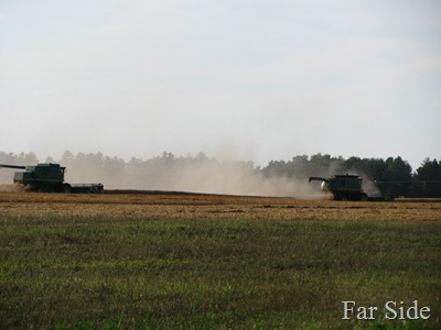 Combines in the field