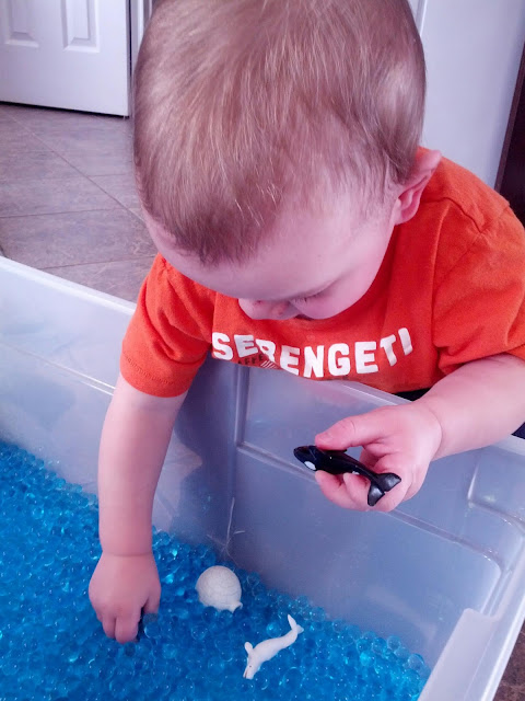 Toddler playing with arctic animals sensory bin