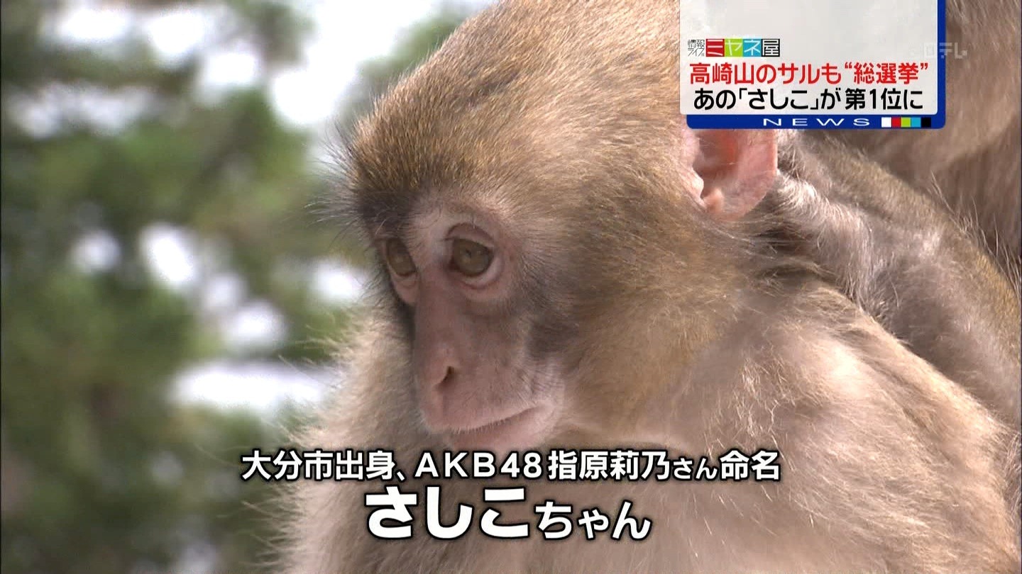 [39_1%255B2%255D.jpg]