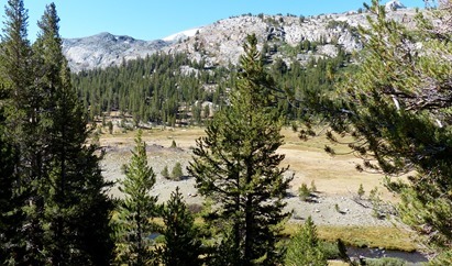 Hike from Sawmill Walk-In Campground, tried to find Green Treble Lake