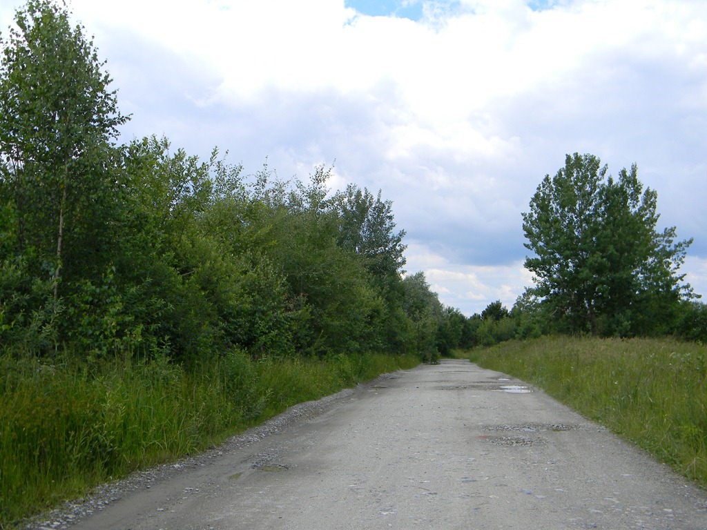 [DSCN68863.jpg]