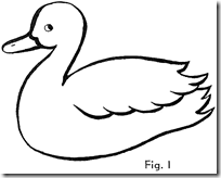 duck-figure1