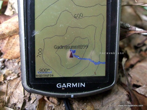 gunung_gading_summit_hike_46