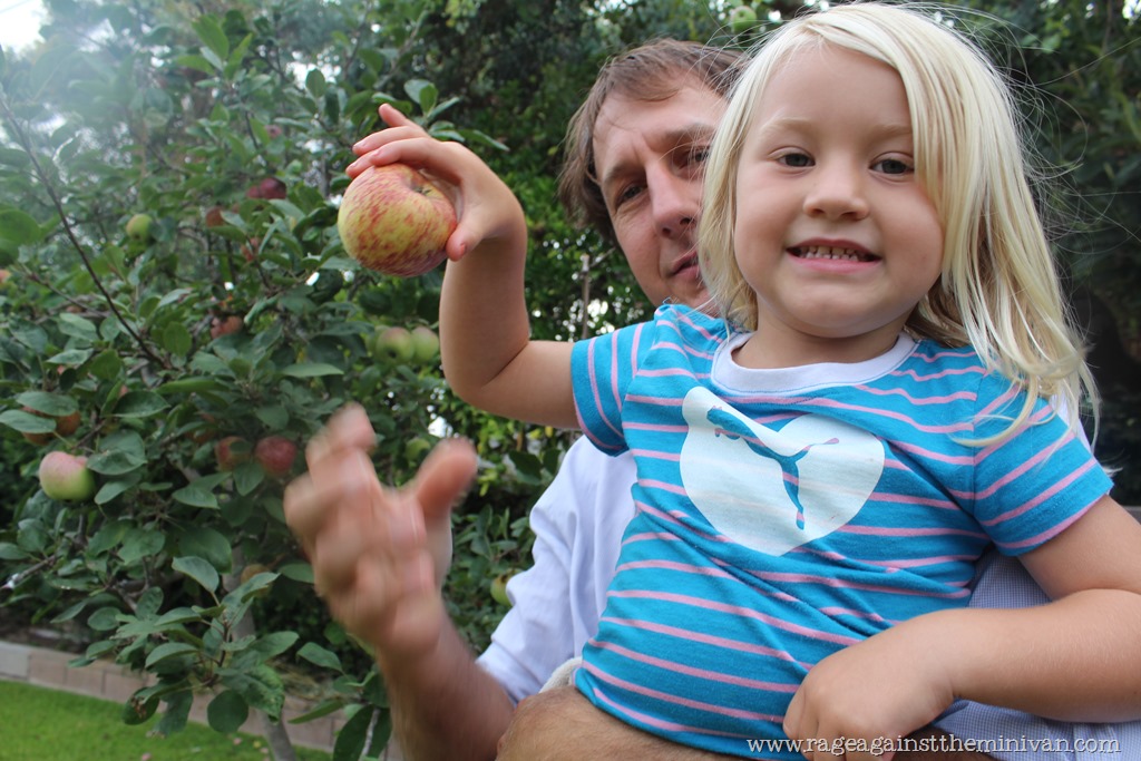 [IMG_9868%255B3%255D.jpg]