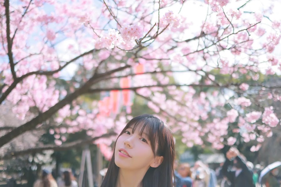 [Patreon] 쏘블리 (@leeesovely) Sakura Part2