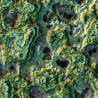 Seamless backgrounds of mosses7