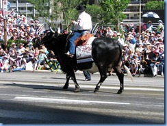 9001 Alberta Calgary Stampede Parade 100th Anniversary