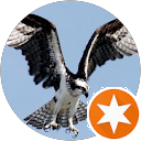 Osprey Flyers profile picture