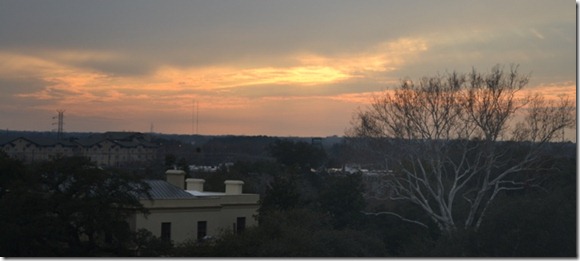 Savannah skyline 2 - Copy