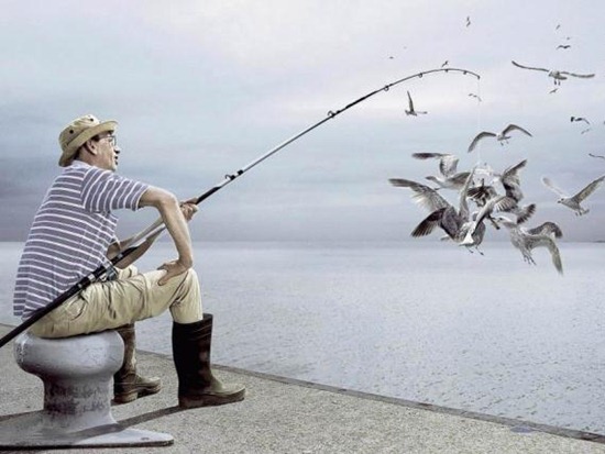 Vì sao không nên câu cá giải trí?