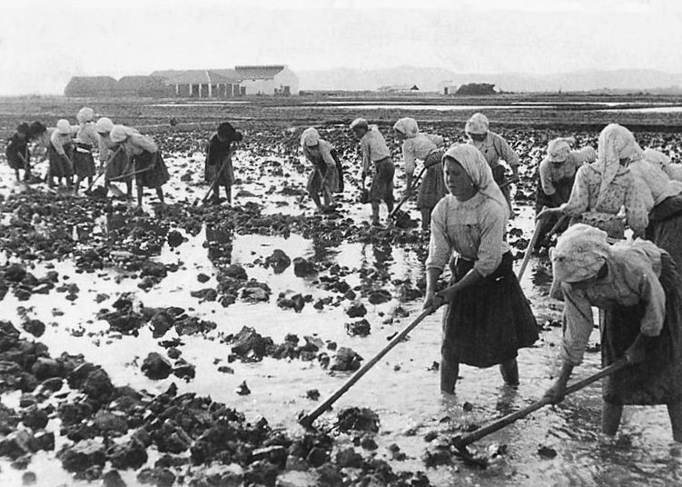 [Comp.-das-Lezrias.24-19535.jpg]