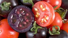 purple-tomatoes